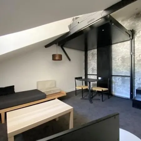 Superbe Avec Terrasse - Cathedrale Apartment *